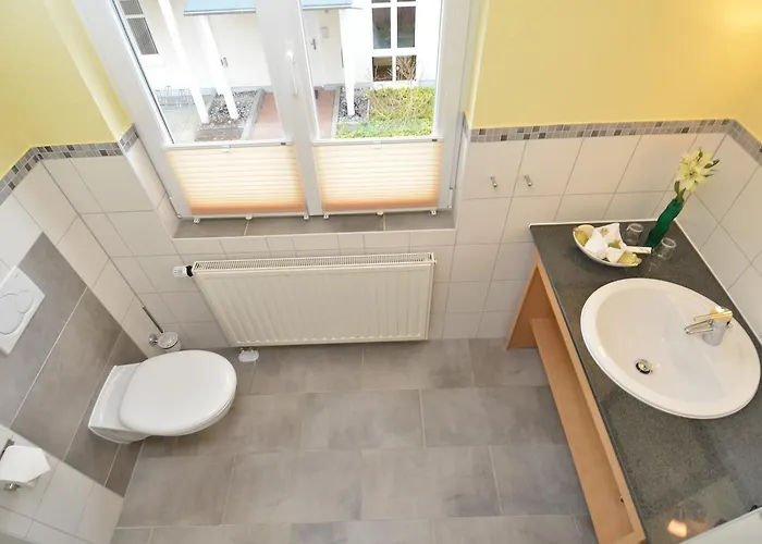 Seerose - 19 ゼリン